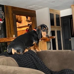 Meet your Posher, Chad